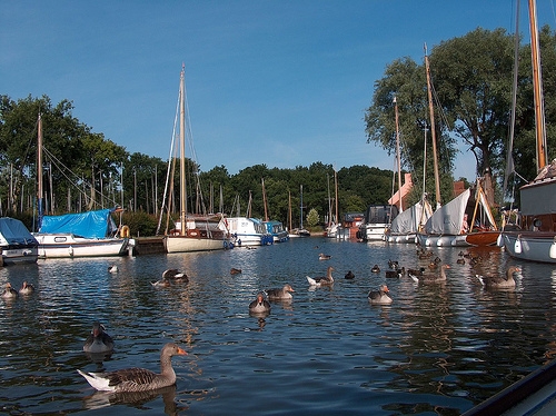 The Staithe at the Pleasure Boat Inn on Hickling Broad

Picture kindly supplied by Jack Coulter