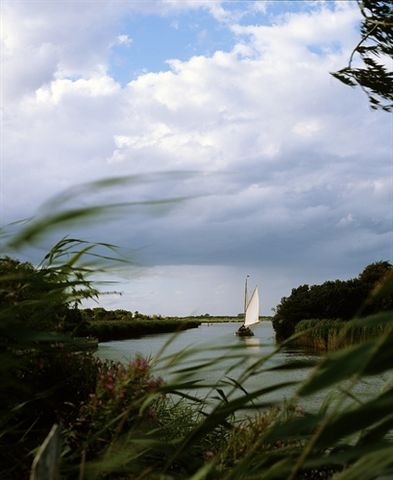 Hickling Sail through reeds

Picture kindly supplied by Paul Marks

